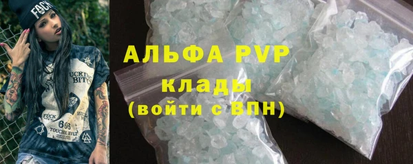 PSILOCYBIN Аркадак