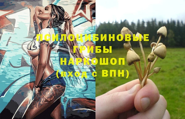 круглые Арсеньев