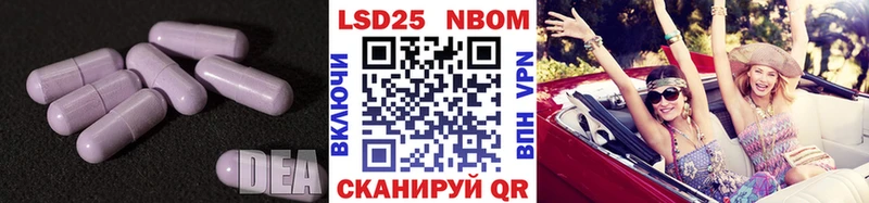 дарнет шоп  Онега  Лсд 25 экстази ecstasy 